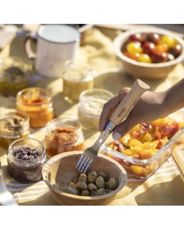 Picnic Plus Avec N08 Hêtre