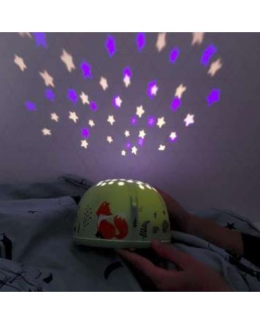 Projecteur amis de la forêt