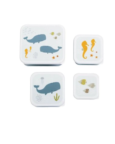 Boîte à collation océan