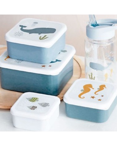 Boîte à collation océan