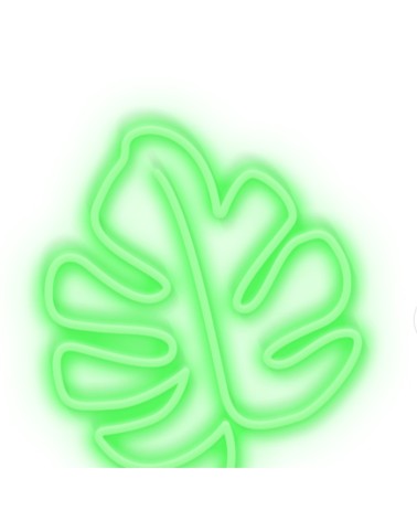 Enseigne au néon SMALL LEAF