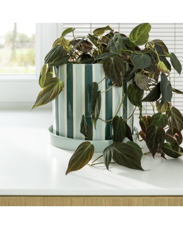 Jardinière à rayures contrastées