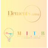 MITB - ELEMENTS LIGHTNING